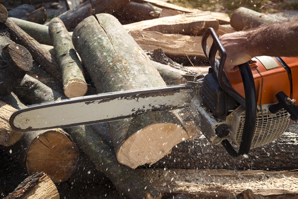 Как выбрать бензопилу, рейтинг бензиновых пил STIHL Как выбрать бензопилу, рейтинг бензиновых пил STIHL