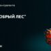 Общая информация о ООО «Добрый Лес»
