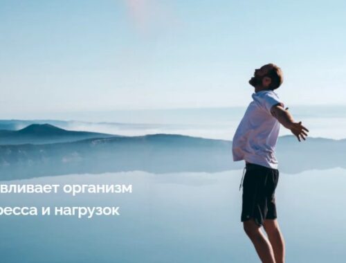 XeoDream: Глубокое восстановление организма за 30 минут XeoDream: Глубокое восстановление организма за 30 минут