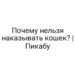Почему нельзя наказывать кошек? | Пикабу