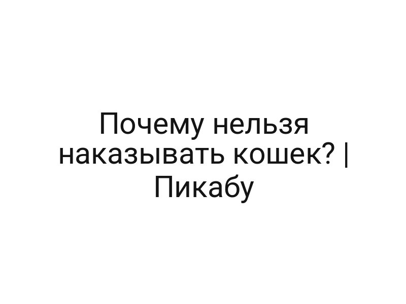 Почему нельзя наказывать кошек? | Пикабу