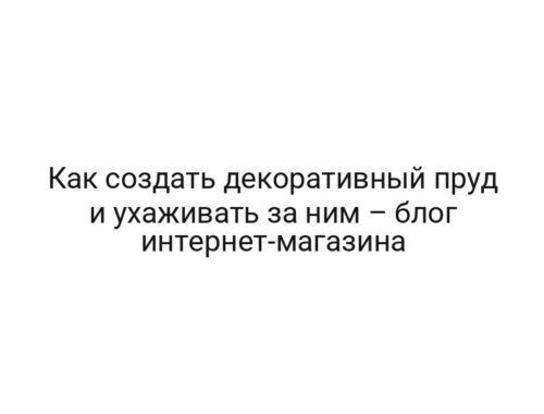 Как создать декоративный пруд и ухаживать за ним – блог интернет-магазина