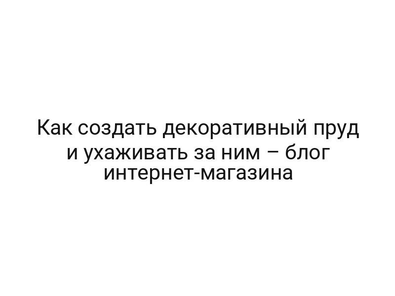 Как создать декоративный пруд и ухаживать за ним – блог интернет-магазина