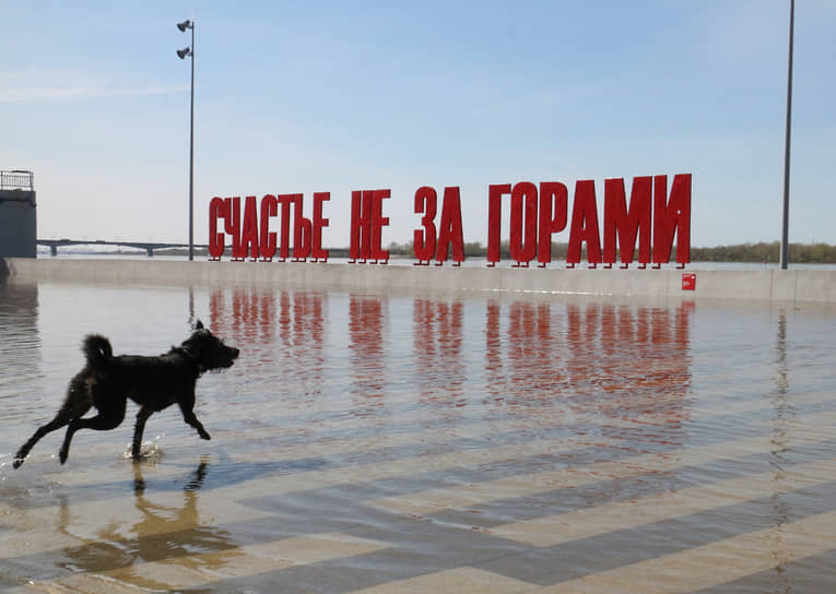 В Петербурге вступил в силу закон об ужесточении правил выгула собак