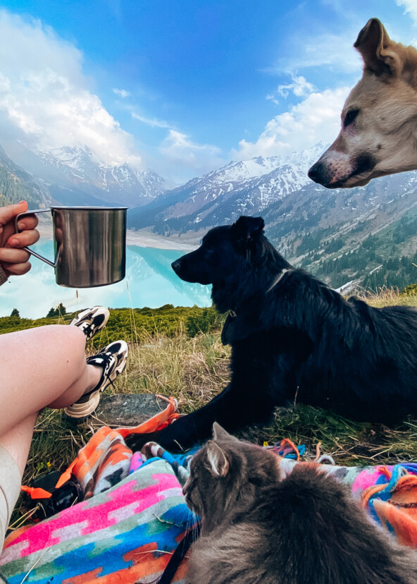 Чилим в Казахстане. 2022 открыл много новых направлений :))