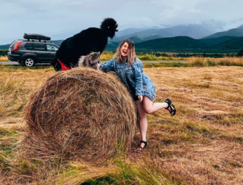 Сколько стоит вести тревел блог. И сколько на нем можно зарабатывать — Ирена Змигродская на vc. ru