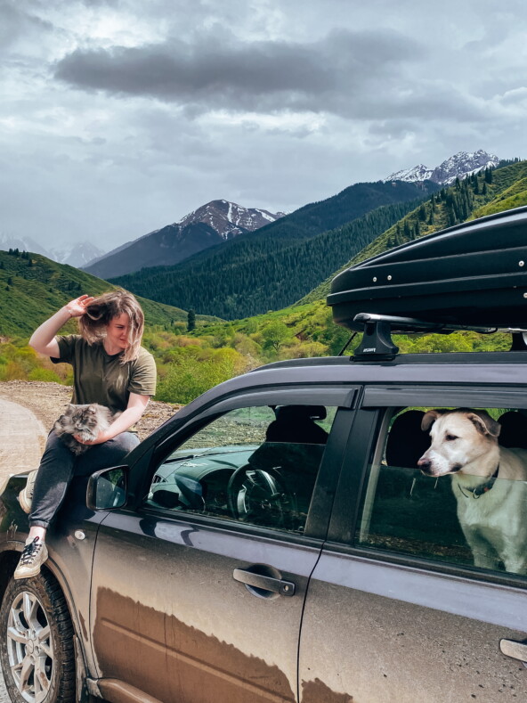 Мой чит в продвижении — животные. Иногда мне кажется, что смотрят в блоге не на меня, а на них :D