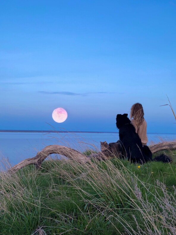 Так себе фото, спасённое постобработкой и пресетами
