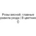 Розы весной: главные правила ухода | В цветнике ()